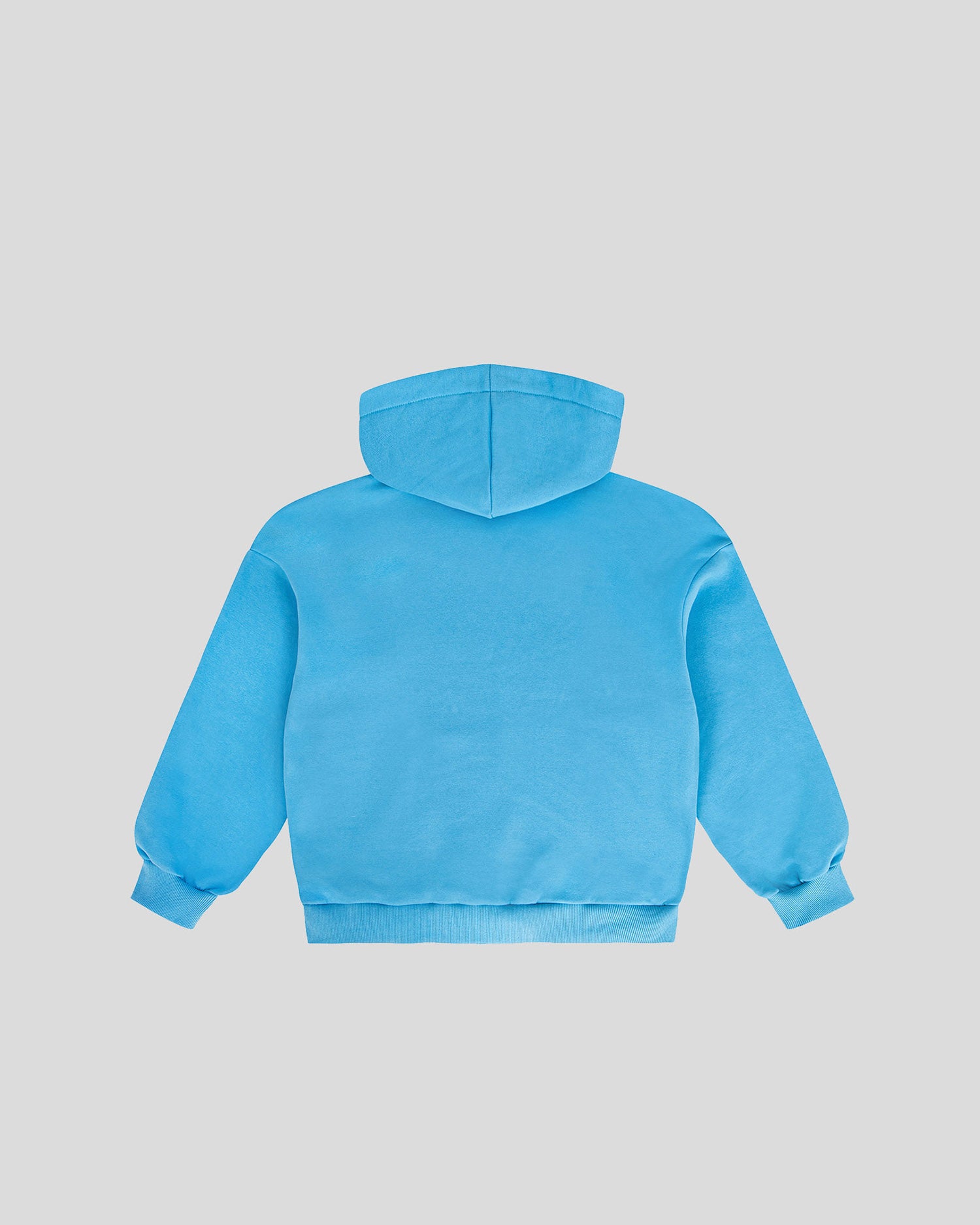 Blue frotte hoodie