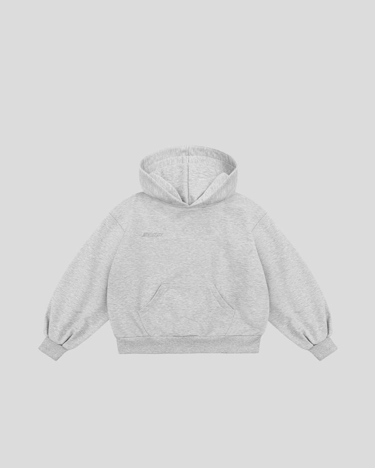 Basic hoodie (gray) front