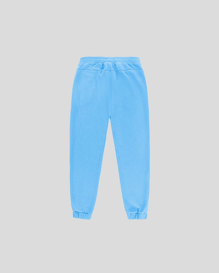 Blue sweatpants back