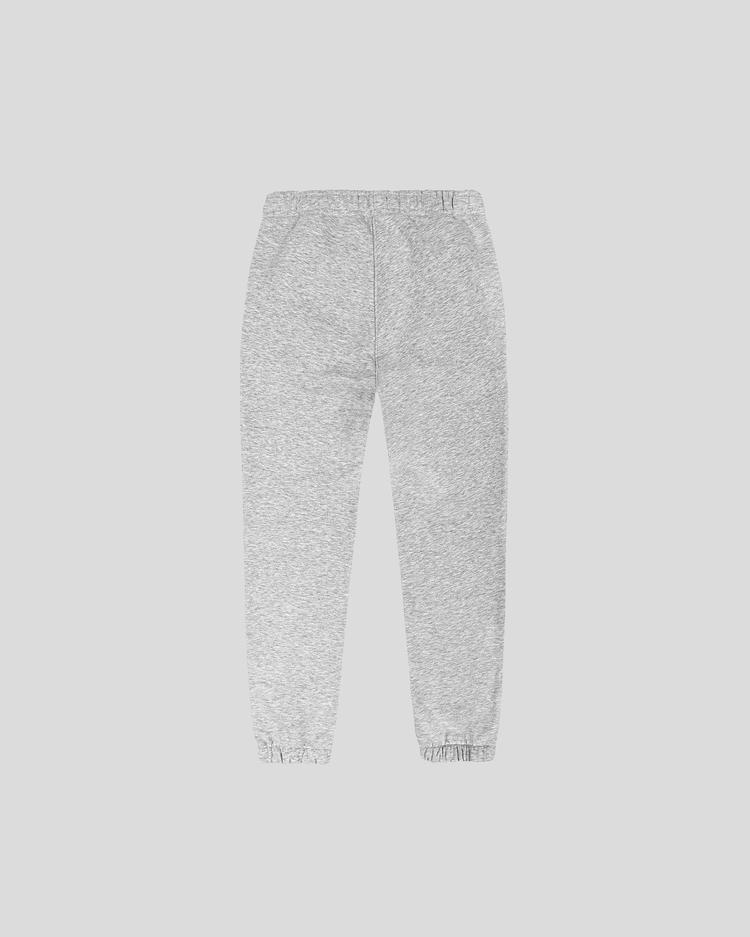 Gray sweatpants back
